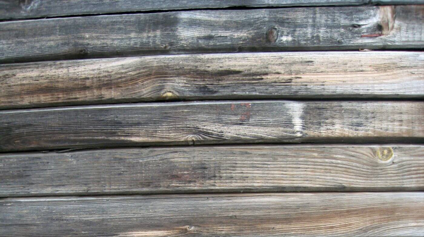 Cap Ferret Surf School