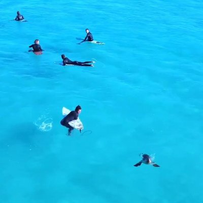 Cap Ferret Surf School a partagé la vidéo de la World Surf Leagu