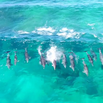 Cap Ferret Surf School a partagé la publication de World Surf Leagu