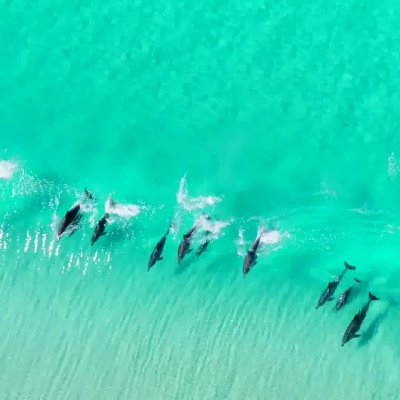 Cap Ferret Surf School a partagé une publication.