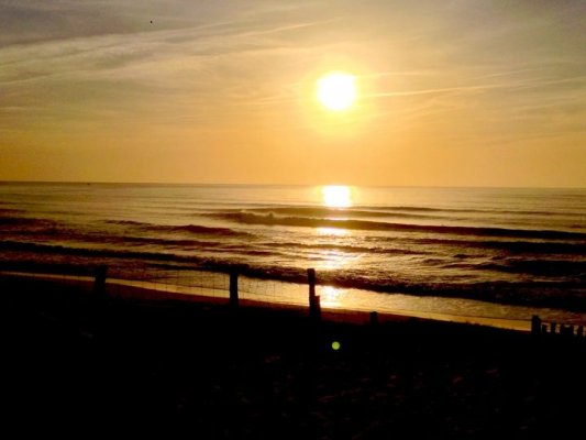 Cap Ferret Surf School a une nouvelle photo