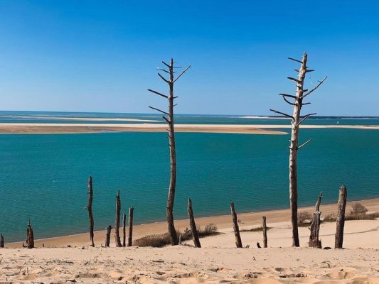 L’été @poulettetcanette ・ ・ ・ #bassindarcachon #dunedupilat #latestedebuch #bassinaddict #printemps #bancdarguin #ocean #atlantique #atlanticocean #dune #bassinarcachon